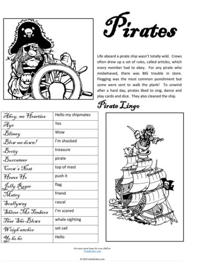 Pirates - The Critical Years